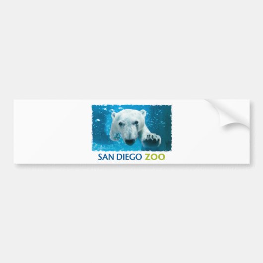 Beer van San Diego Zoo Polar Bumpersticker (Voorkant)