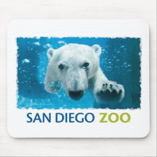 Beer van San Diego Zoo Polar Muismat