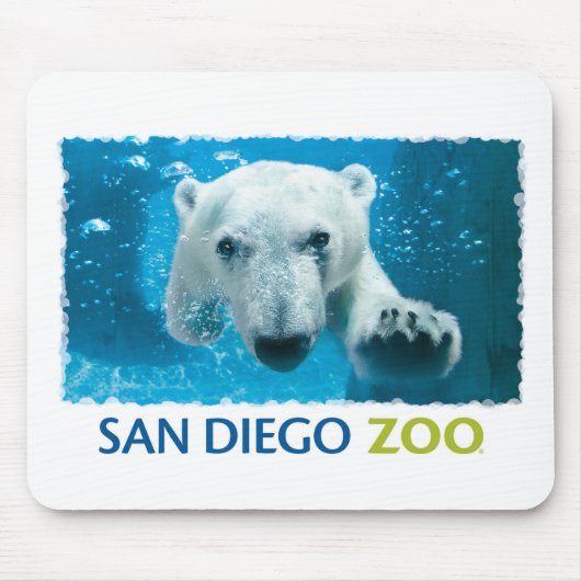 Beer van San Diego Zoo Polar Muismat (Voorkant)