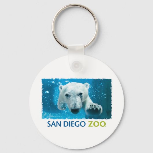 Beer van San Diego Zoo Polar Sleutelhanger (Voorkant)