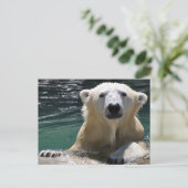 Beer van Soggy Polar Briefkaart (Staand voorkant)