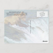 Beer vangzalm, Nationaal Park Katmai, AK Briefkaart (Achterkant)