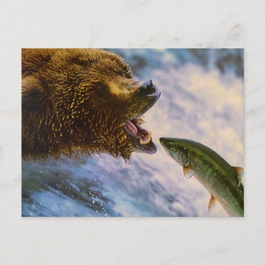 BEER VIS WILD DIER POSTCROSSING BRIEFKAART (Voorkant)