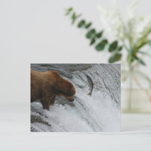 Beer vissen zalm, Brooks Herfsten Alaska Briefkaart (Staand voorkant)