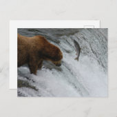 Beer vissen zalm, Brooks Herfsten Alaska Briefkaart (Voorkant / Achterkant)