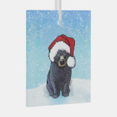 Beer voor kerstmis glas ornament (Voorkant Rechts)