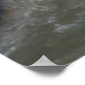 Beer Watergevecht Poster (Hoek)