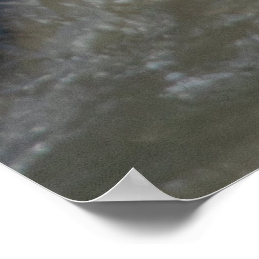 Beer Watergevecht Poster (Hoek)