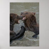 Beer Watergevecht Poster (Voorkant)