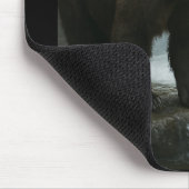 Beer Waterval Muismat (Hoek)