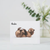 Beer Wildlife Alaska Briefkaart (Staand voorkant)