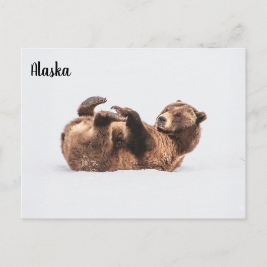 Beer Wildlife Alaska Briefkaart (Voorkant)