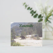 beer, Yosemite Briefkaart (Staand voorkant)