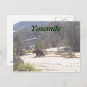 beer, Yosemite Briefkaart (Voorkant / Achterkant)