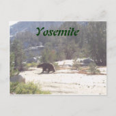 beer, Yosemite Briefkaart (Voorkant)
