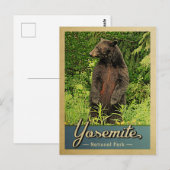 Beer Yosemite National Park Briefkaart (Voorkant / Achterkant)