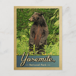 Beer Yosemite National Park Briefkaart
