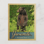  Beer Yosemite National Park Briefkaart (Voorkant)