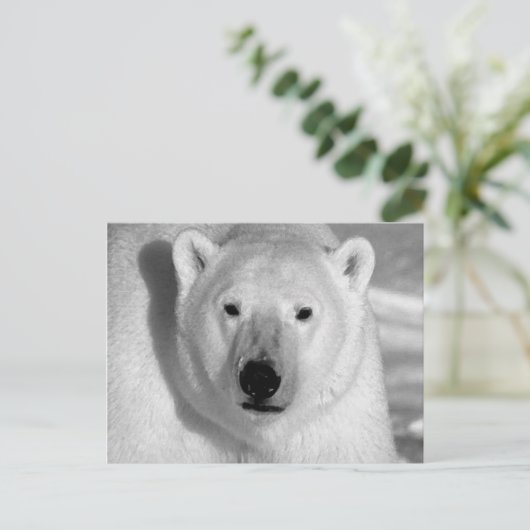 Beer zwart-wit briefkaart (Staand voorkant)