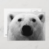 Beer zwart-wit briefkaart (Voorkant / Achterkant)