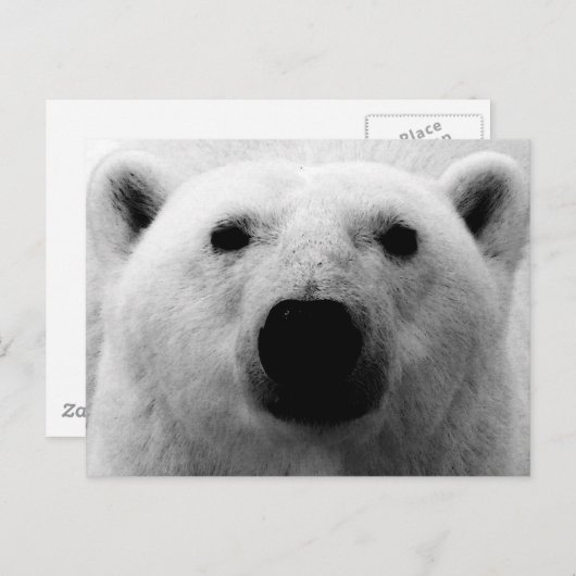 Beer zwart-wit briefkaart (Voorkant / Achterkant)