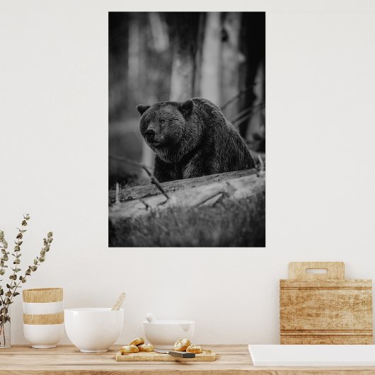 Beer zwart-wit Foto modern Rustic Cabin Poster (Keuken)