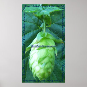 BeerContinuum-poster Poster