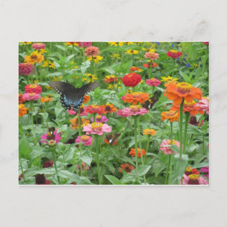 Beersheba Springs Postcard Briefkaart