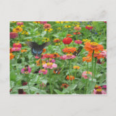 Beersheba Springs Postcard Briefkaart (Voorkant)