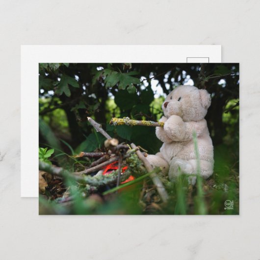 Beertje dat bij kampvuur zit. briefkaart (Voorkant / Achterkant)