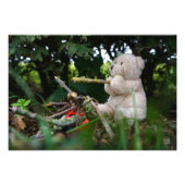 Beertje dat bij kampvuur zit. foto afdruk (Voorkant)