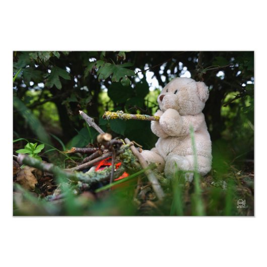 Beertje dat bij kampvuur zit. foto afdruk (Voorkant)