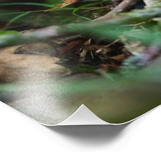 Beertje dat bij kampvuur zit. foto afdruk (Hoek)