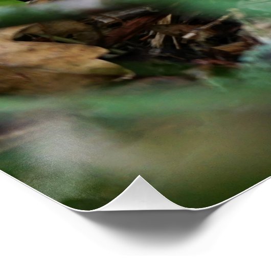 Beertje dat bij kampvuur zit. perfect poster (Hoek)