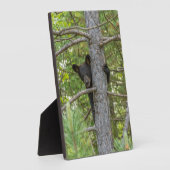 Beerwelp klimt in boom fotoplaat (Zijkant)