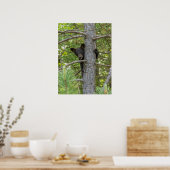 Beerwelp klimt in boom poster (Keuken)