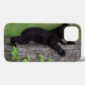 Beerwelp klimt in een boom Case-Mate iPhone case (Achterkant (horizontaal))