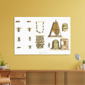 Bees and bee-keeping, from 'The Young Landsman', p Canvas Afdruk (Insitu (Woonkamer))