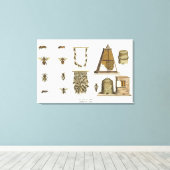 Bees and bee-keeping, from 'The Young Landsman', p Canvas Afdruk (Insitu (Houten vloer))
