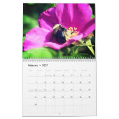 Bees And Insects On Flowers Nature  Kalender (Feb 2027)