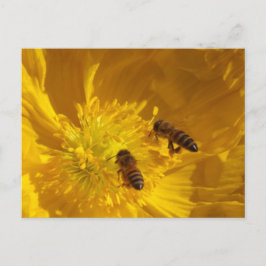 Bees Postcard Briefkaart