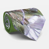 Bee's vriend stropdas (Opgerold)