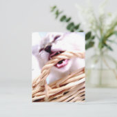 beet Briefkaart (Staand voorkant)