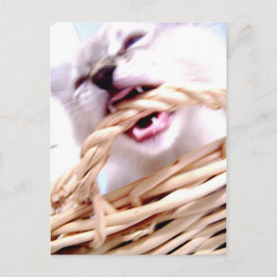 beet Briefkaart