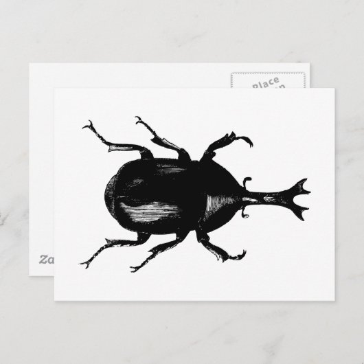 Beetel Beetles Insect Bug  Hood Engraving Briefkaart (Voorkant / Achterkant)