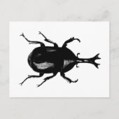 Beetel Beetles Insect Bug  Hood Engraving Briefkaart (Voorkant)