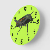 Beetel met acrylwand ronde klok (Hoek)