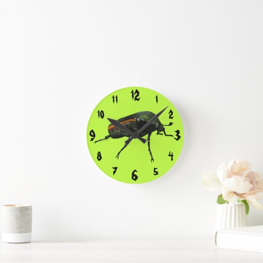 Beetel met acrylwand ronde klok (Huis)