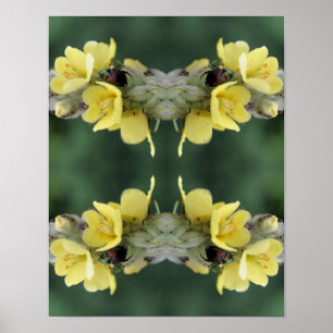 Beetel op Abstracte wildklem van mullein Poster