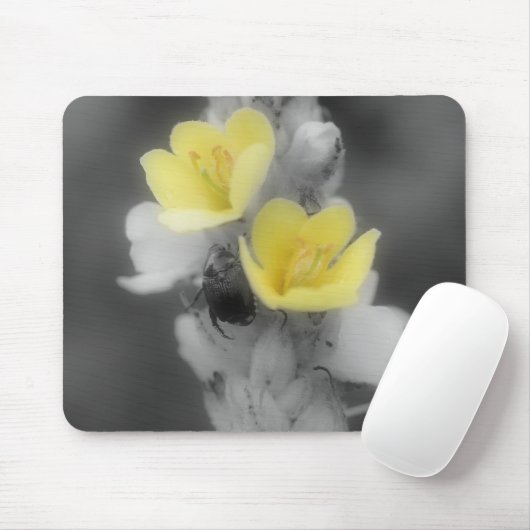 Beetel op de zwarte witte moerasmousepad van de mu muismat (Met muis)